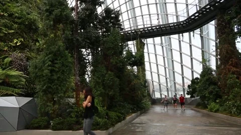 Conservatory Cloud Forest on the territory Park Gardens by the Bay in Singapore Stock-Footage 49184091