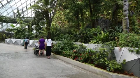 Conservatory Cloud Forest on the territory Park Gardens by the Bay in Singapore Stock Footage 49184329