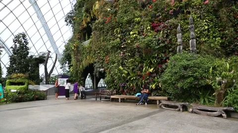 Conservatory Cloud Forest on the territory Park Gardens by the Bay in Singapore Stock Footage 49213659