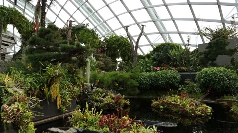 Conservatory Cloud Forest on the territory Park Gardens by the Bay in Singapore Stock Footage 49213878