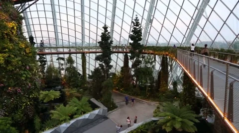 Conservatory Cloud Forest on the territory Park Gardens by the Bay in Singapore Stock Footage 49214690