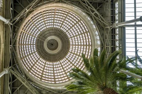 Conservatory dome ceiling design of the Ny Carlsberg Glyptotek museum Stock Photos