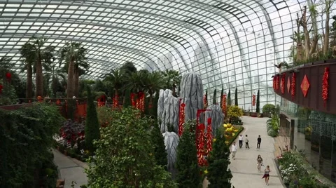 Conservatory Flower Dome on the territory Park Gardens by the Bay in Singapore Stock-Footage 49153382