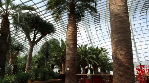 Conservatory Flower Dome on the territory Park Gardens by the Bay in Singapore Stock-Footage 49154046
