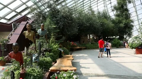 Conservatory Flower Dome on the territory Park Gardens by the Bay in Singapore Stock Footage 49177335