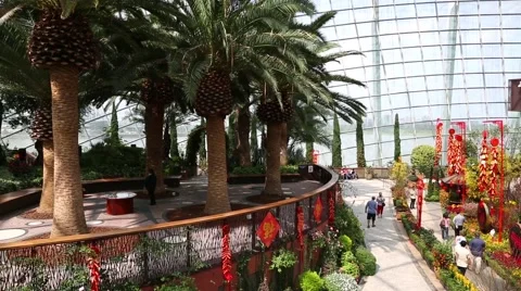 Conservatory Flower Dome on the territory Park Gardens by the Bay in Singapore Stock Footage 49177434