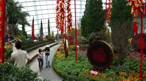 Conservatory Flower Dome on the territory Park Gardens by the Bay in Singapore Stock Footage 49178048
