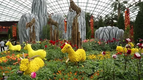 Conservatory Flower Dome on the territory Park Gardens by the Bay in Singapore Stock Footage 49178105