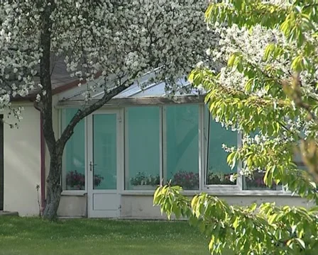 Conservatory flower tree Stock Footage 10742705