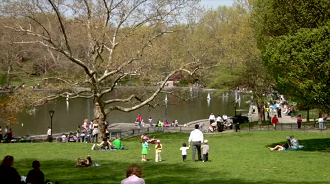 Conservatory Water Central Park Fall Stock Footage 49224191