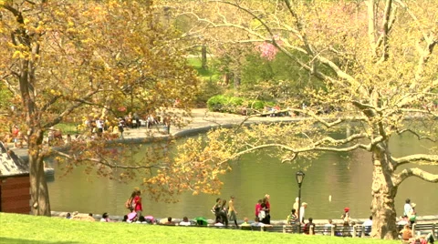 Conservatory Water Central Park Fall Stock Footage 49224198