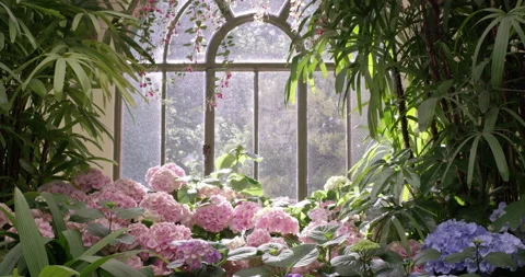 Conservatory window Stock Footage 132391945