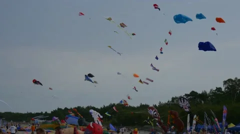 Considerable Quantity of Kites Soars in Heavens Stock Footage 67010361