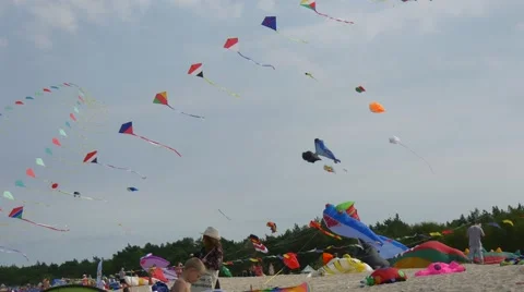 The Considerable Quantity of Kites Were Raised up in the Air by Participants of Stock Footage 67009980