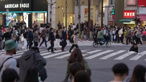 Constant flow of people crossing the expansive Shibuya Crossing Stock Footage 308877965