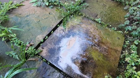 Constant water drops falling from the roof to the garden floor, changing th.. Stock Footage 259346161