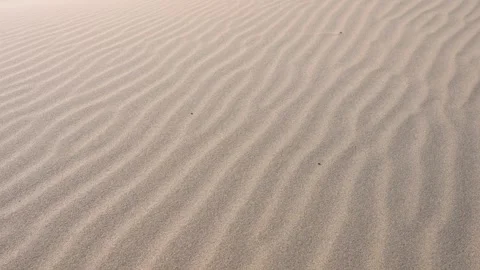 Constant winds shape the sand dunes into beautiful, flowing patterns in Durgun Stock Footage 317687749