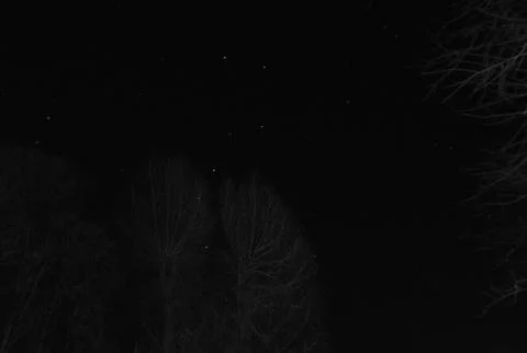 The constellation Great bear,  forest Stock Photos