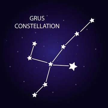 The constellation Grus with bright stars. Vector illustration. Stock Illustration