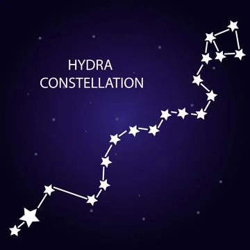 The constellation Hydra with bright stars. Vector illustration. Stock Illustration