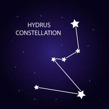 The constellation of Hydrus with bright stars. Vector illustration. Illustrazione stock