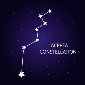 The constellation of Lacerta with bright stars. Vector illustration. Stock-Illustration