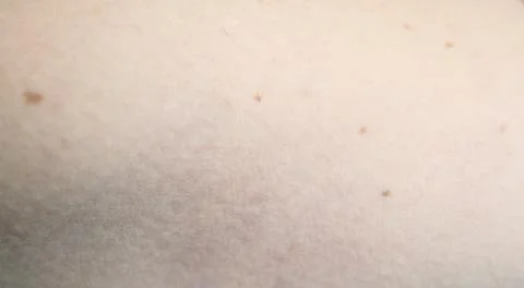 Constellation Stock Photos