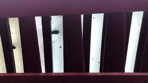 Constitution Bridge Venice Stock Footage 98363911