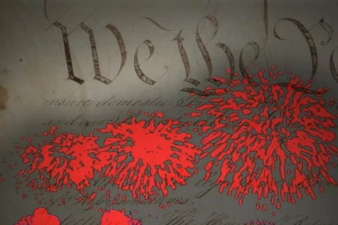 Constitution Fireworks Composition - Red, White, And Blue 02 Stock-Footage 705031