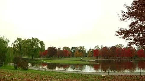 Constitution Gardens Pond in the Fall (LP-Washington-074) Stock Footage 9026056