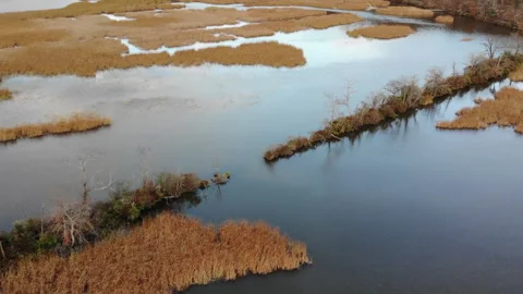Constitution Marsh fresh water in Garrison, New York. USA. Aerial view Stock Footage 141497689