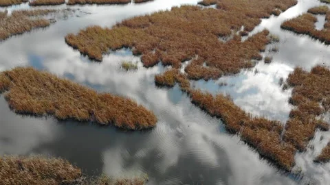Constitution Marsh fresh water in Garrison, New York. USA. Aerial view Stock Footage 141498041
