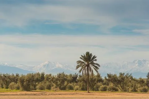 Constrating desert-mountain landscape. Marrakech, Morocco Stock Photos