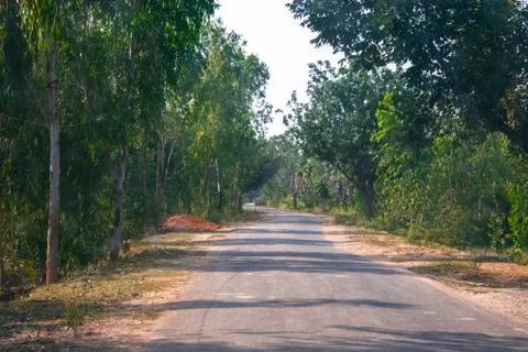 A constructed road between the dark forest Stock Photos