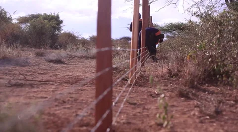 Constructing a long barbed wired fence, security Africa, Kenya, shallow DOF Stock Footage 52099552