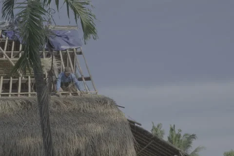 Constructing a Thatched Roof Stock-Footage 246410515