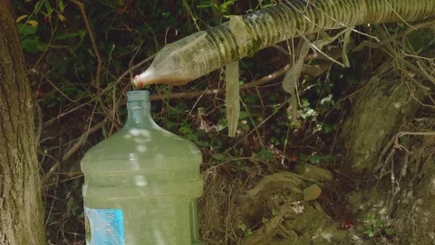 Construction of bottles to get pure drinking water from springlet in forest Stock Footage 81185888