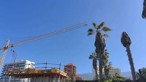 Construction of a building with cranes and structures in a city in a tropical Stock Footage 201935872
