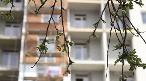 Construction. Building through leaves focus pull. Stockbeeldmateriaal 53825001
