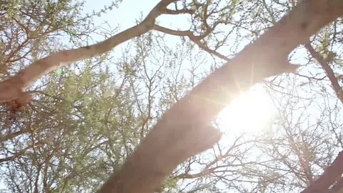 Construction buildings on hill Stock Footage 77049297