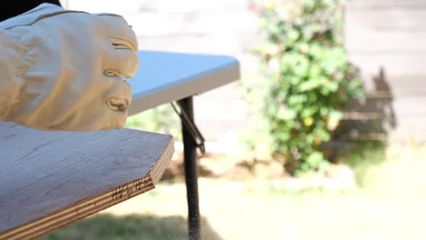 Construction carpenter worker using saws and power tools to get the job done Vidéo 279860417