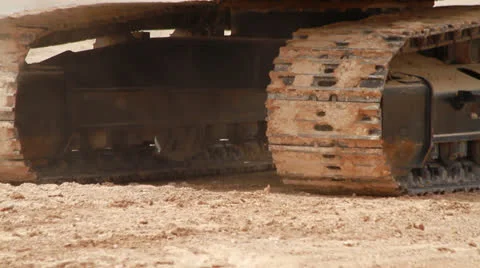 Construction cat Stock Footage 23162188