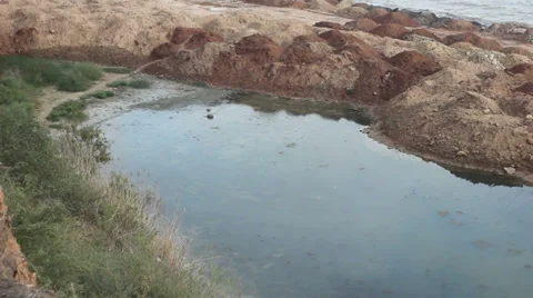 Construction on the coast affects the environment. Stock-Footage 35641564