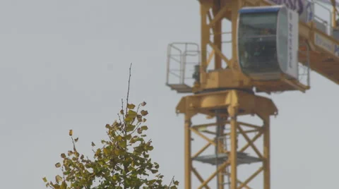 Construction crane 4K + HD Video stock 43443560