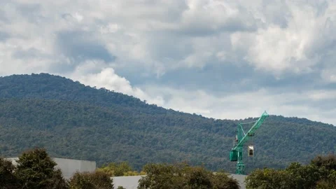 Construction crane and building among the trees. Forest encroachment city. Stock Footage 168973568