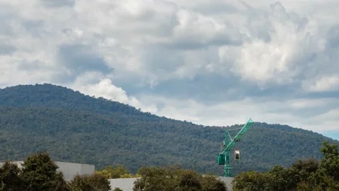 Construction crane and building. Forest encroachment city concept. Stock Footage 161173092