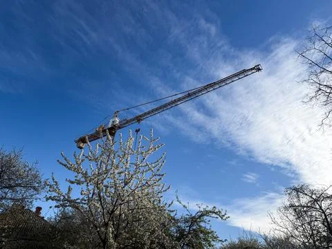 Construction crane extending over spring blossoming trees and blue sky Fotos Stock