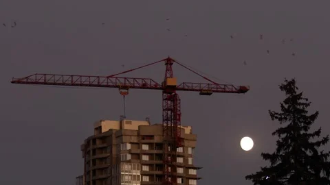 Construction Crane On A Full Moon Background. Unfinished Construction Birds Fly Stock Footage 141923184