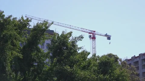 Construction crane operating above lush trees in Berkeley California 스톡 동영상 343891384