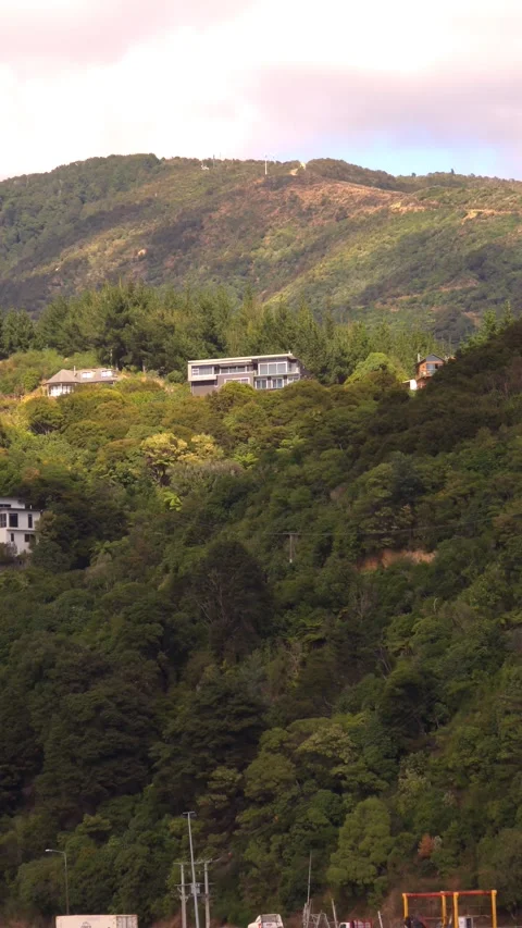 Construction crane operating on a forested hillside near buildings. Stock Footage 312517614